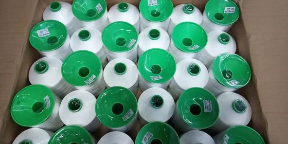 400g Υψηλής αντοχής νάιλον Tex135 420D/3 νήματα ραπτικής από δέρμα πολυεστέρα για προϊόντα
