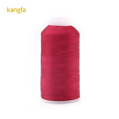 120g Καθαρό βάρος 120D/2 Υψηλή αντοχή χρώμα Δυνατότητα πολυεστέρα Εμβότυρα νήματα για Spot
